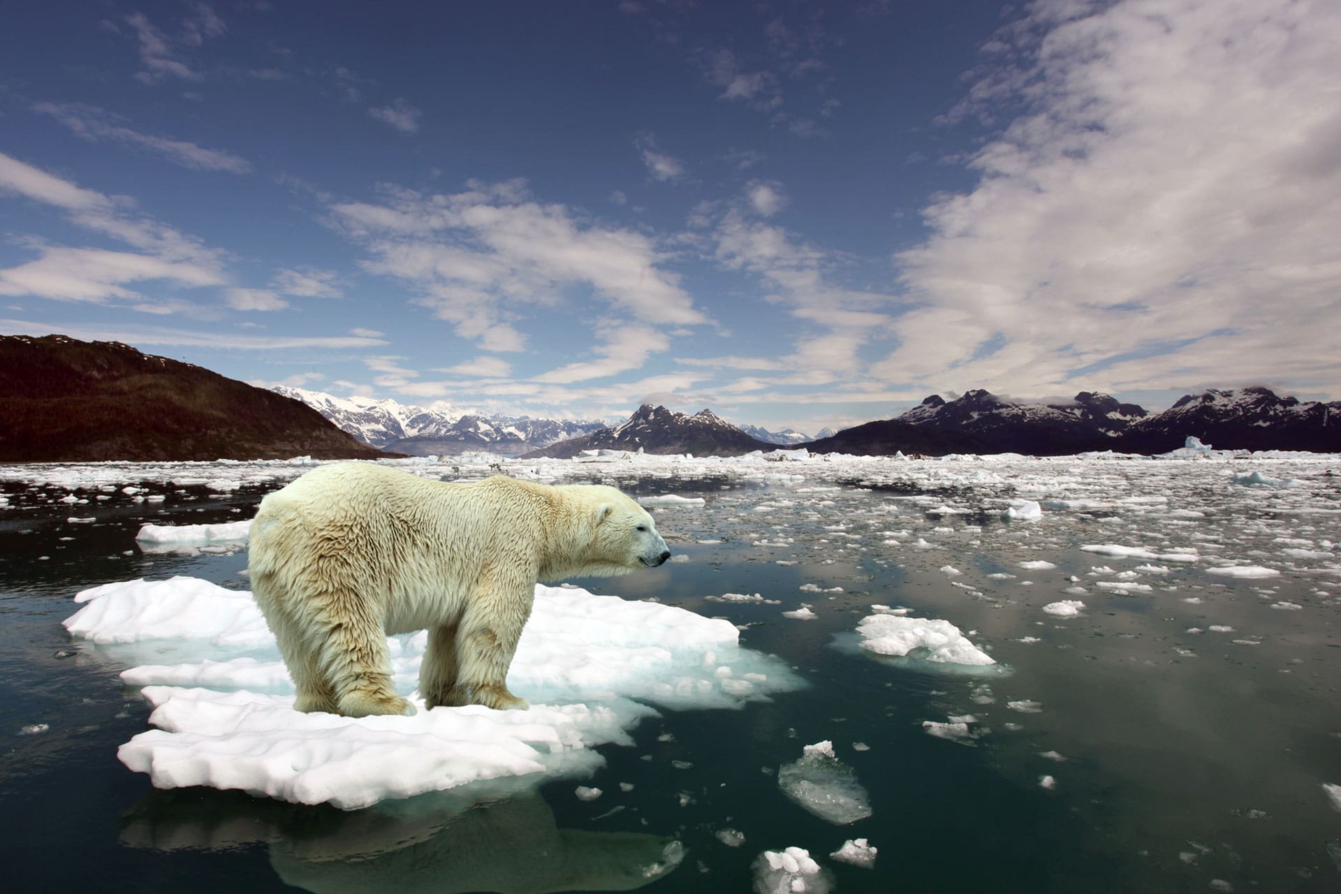 Auswirkungen des Klimawandels auf Regionen in Deutschland?